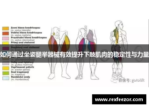 如何通过坐姿腿举器械有效提升下肢肌肉的稳定性与力量