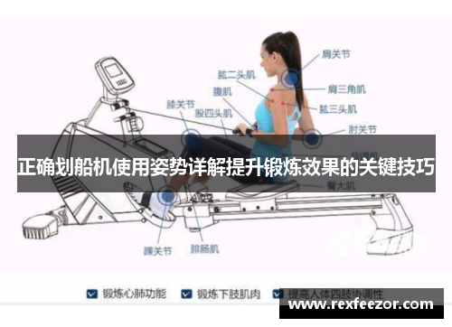 正确划船机使用姿势详解提升锻炼效果的关键技巧