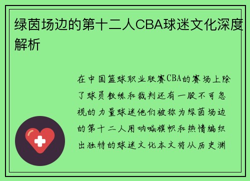 绿茵场边的第十二人CBA球迷文化深度解析