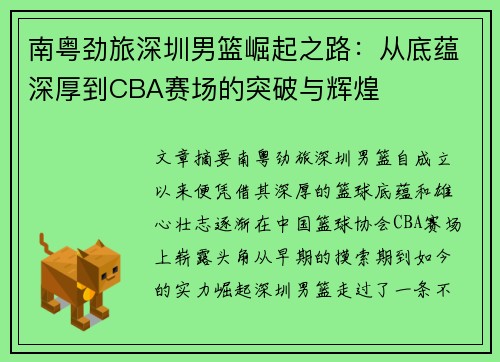 南粤劲旅深圳男篮崛起之路：从底蕴深厚到CBA赛场的突破与辉煌