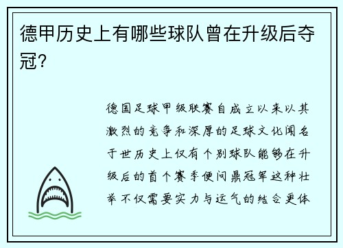 德甲历史上有哪些球队曾在升级后夺冠？