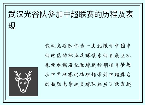 武汉光谷队参加中超联赛的历程及表现